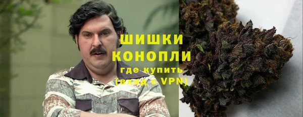 прущий лед Новозыбков