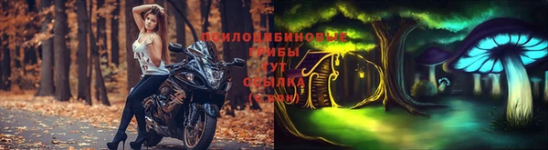 прущий лед Новозыбков