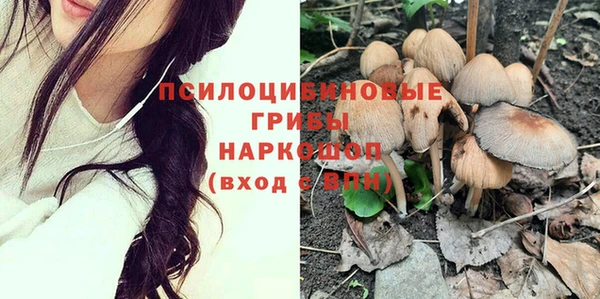амф Нея