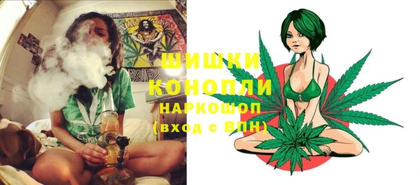 прущий лед Новозыбков