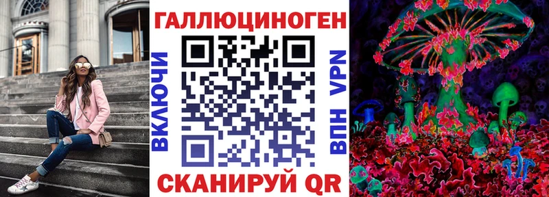 Купить где  Сибай  Псилоцибиновые грибы прущие грибы 
